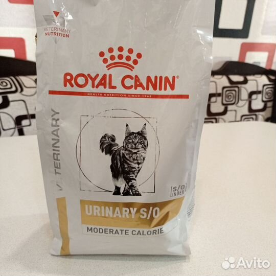 Корм для кошек royal canin urinary