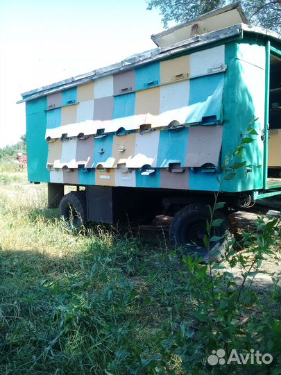 Пчелоприцеп