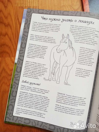 Серия книжек-раскрасок 