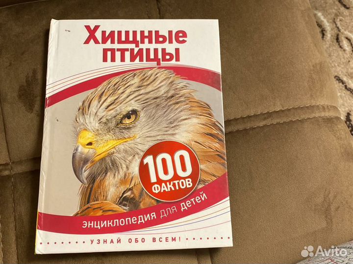 Книга Домашние питомцы
