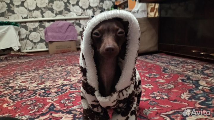 Девочка ищет мальчика