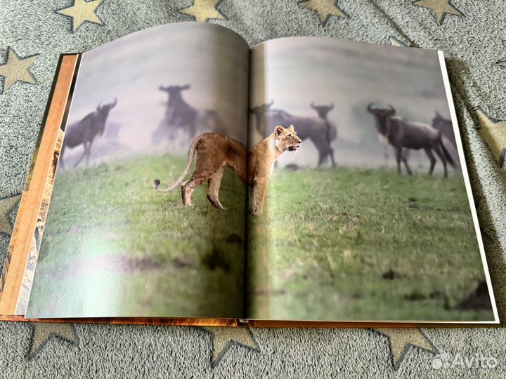 Книга Мир диких животных без мифов