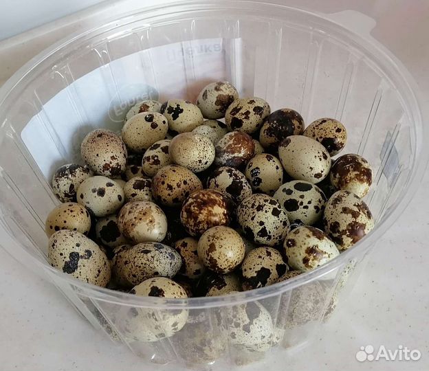 Продукты питания