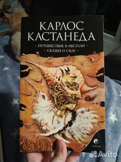 Карлос Кастанеда Путешествие в икстлан