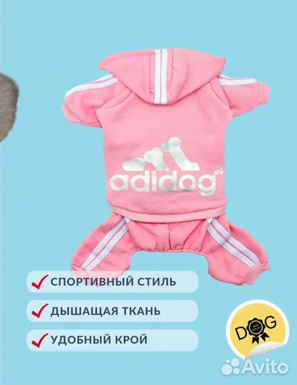 Одежда для собак мелких пород