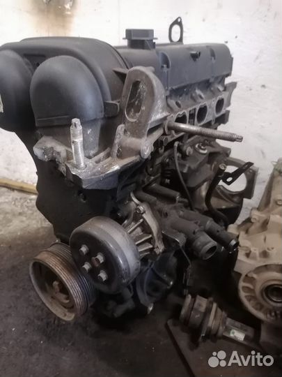 Двигатель форд фокус 2 1,6 shda