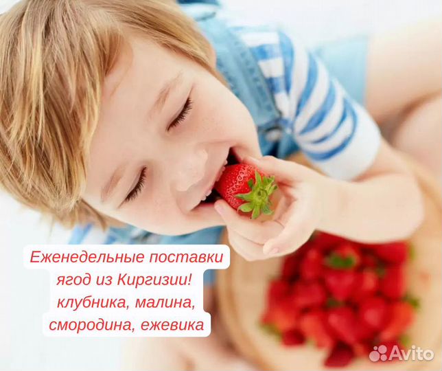 Малина клубника ящиками