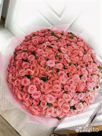 Букет из роз. 25 51 101 роза.Доставка
