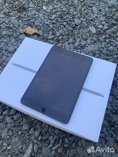 iPad mini 5 256 cellular