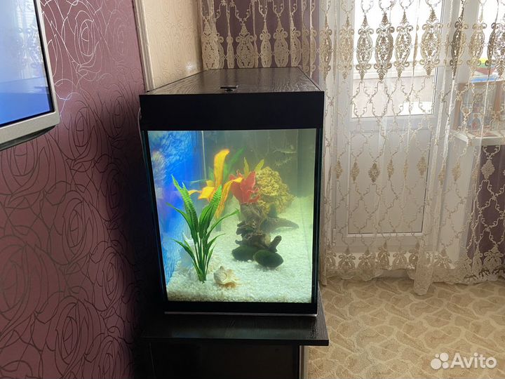 Аквариум