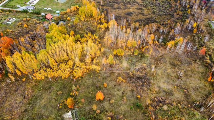 Участок 2,5 га (ИЖС)