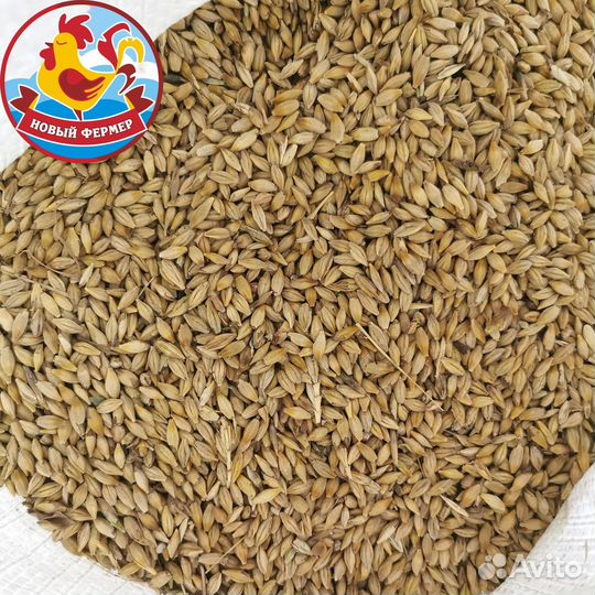 Зерно для животных