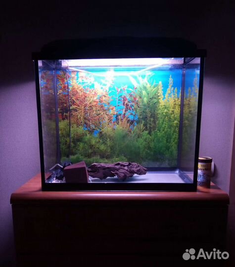Аквариум