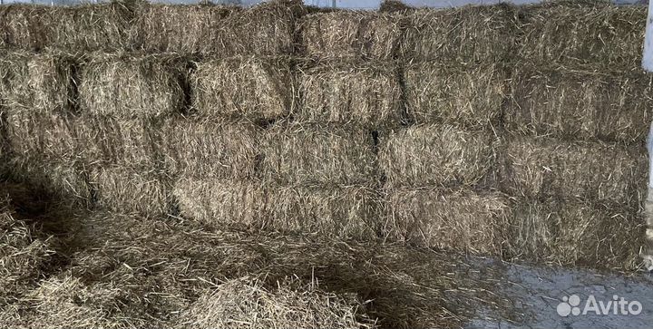 Солома овсяная опт и розница