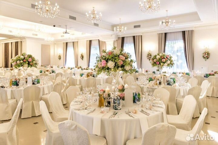 Оператор на свадьбу фото и видео