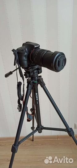 Фотоаппарат sony SLT-A65M