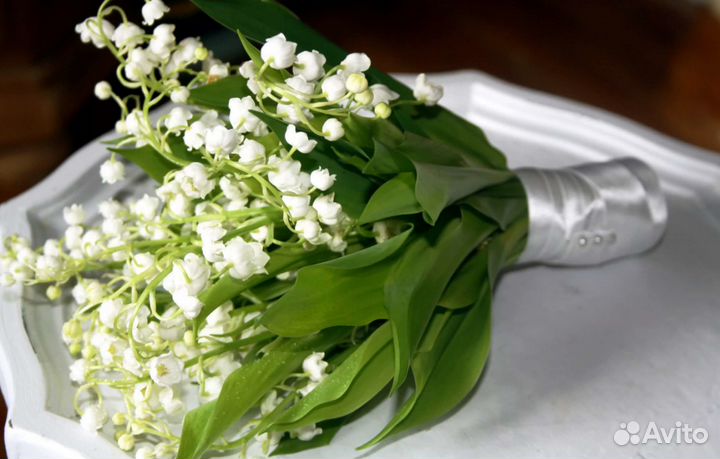 Ландыши, любые букеты из ландышей