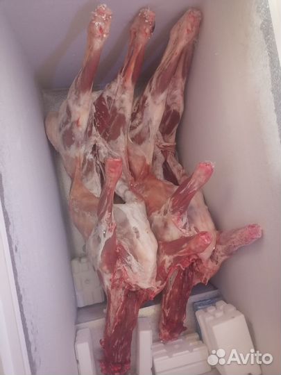 Мясо баранина