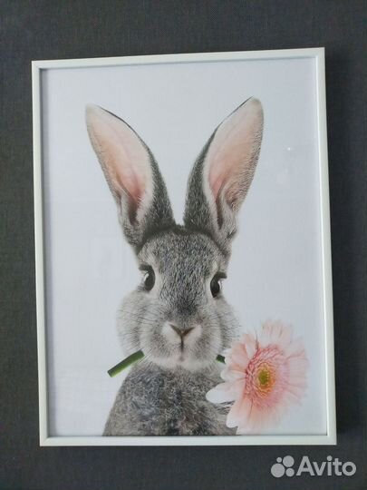 Постер картина 