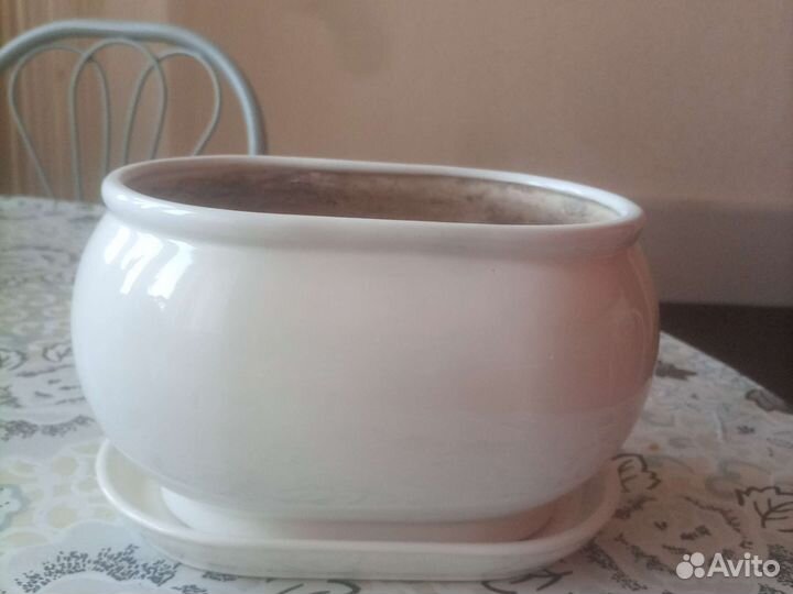 Горшочки для суккулентов