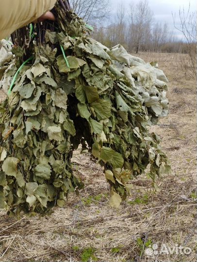 Веники для бани дуб и берёза