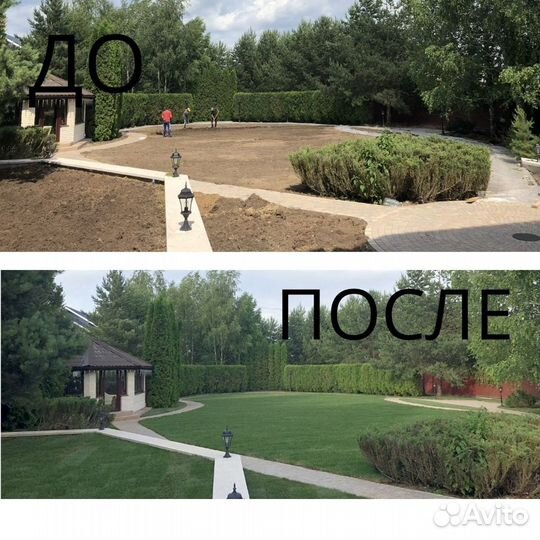 Элитный живой газон в рулонах в Железнодорожном