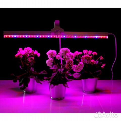 Фитолампа для растений
