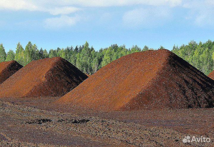 Почва, почвогрунт