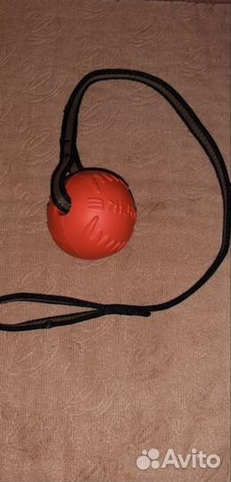 Лоток для питомца,миска мяч, свинка щенку котенку