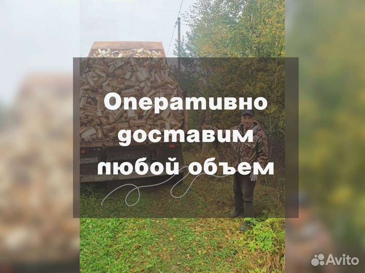 Дрова на дачу