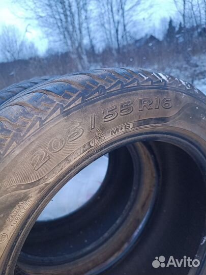 Sava Eskimo Ice 205/55 R16