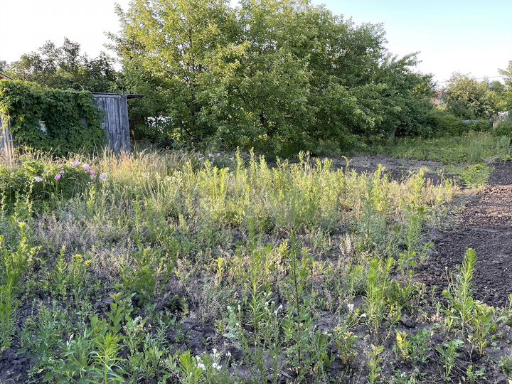 Дача 10 м² на участке 6 сот.