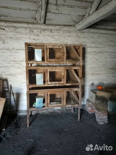 Клетки для кроликов