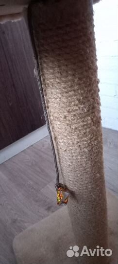 Когтеточка