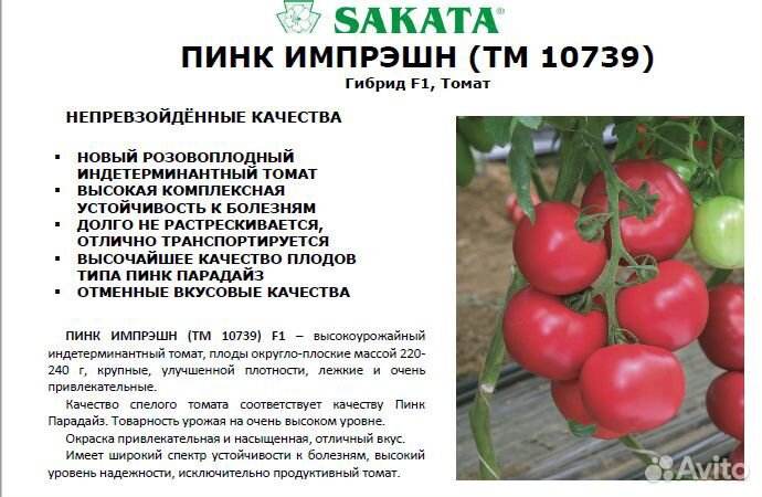 Пинк Парадайз F1 семена томата саката