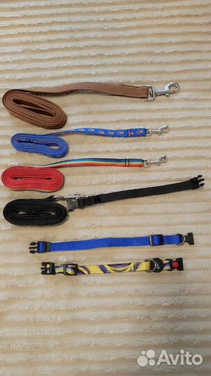 Ошейники и поводки для собак