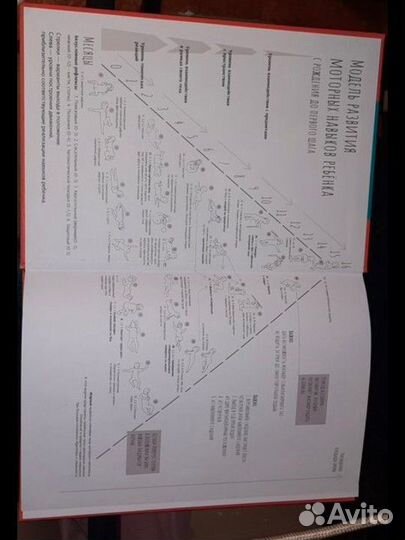 Не сидит, не ползет. Что делать