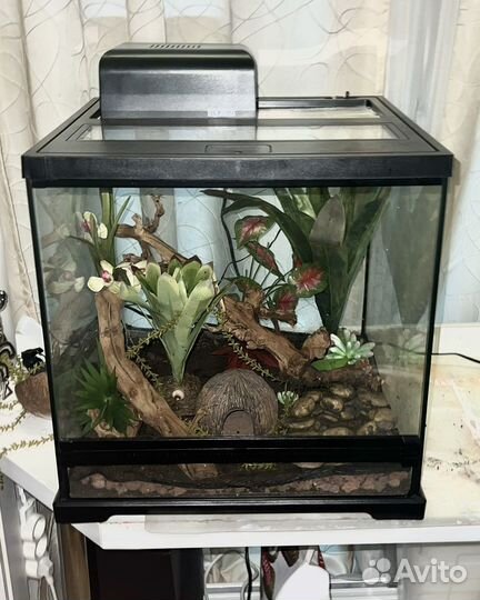 Террариум Exo-Terra Dart Frog