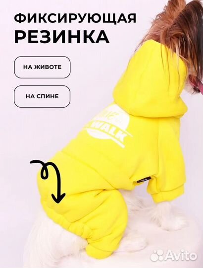 Спортивный костюм для собак