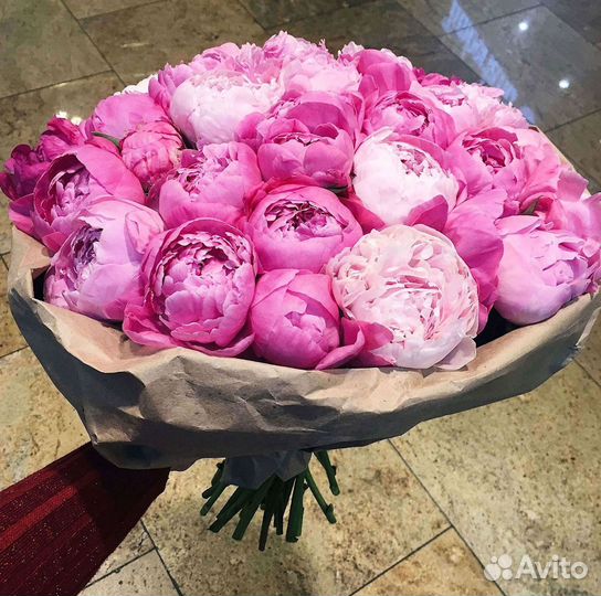 Пионы Букет пионов