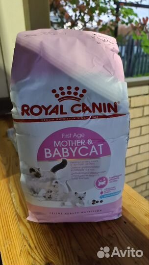 Сухой корм для котят royal canin