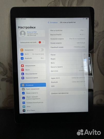 iPad mini 6 cellular