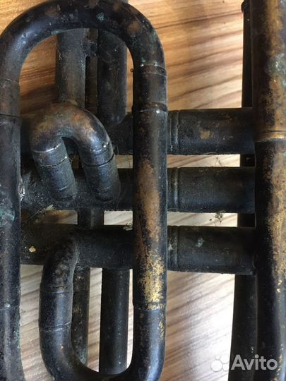 Корнет немецкий