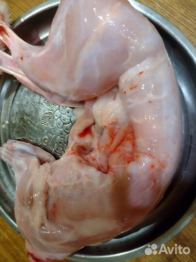 Мясо кролика (свежая крольчатина)