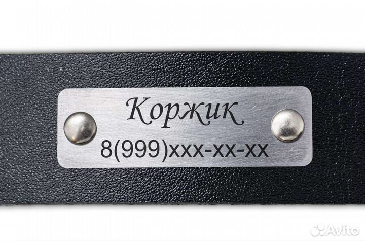 Табличка на ошейник (шлейку) с гравировкой