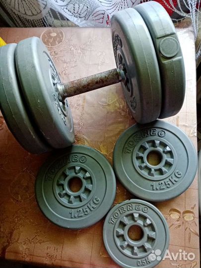 Гантели спортивные Torneo