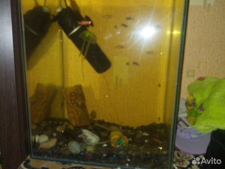 Набор рыбки