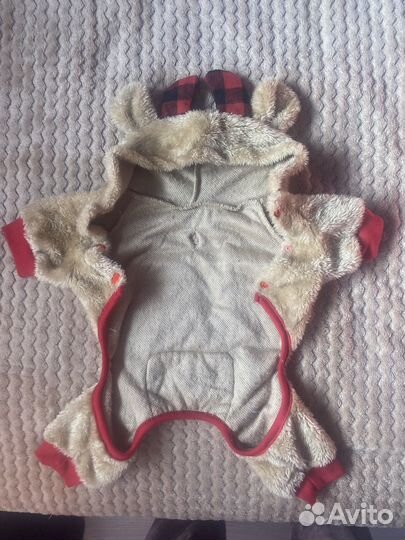 Одежда для собак