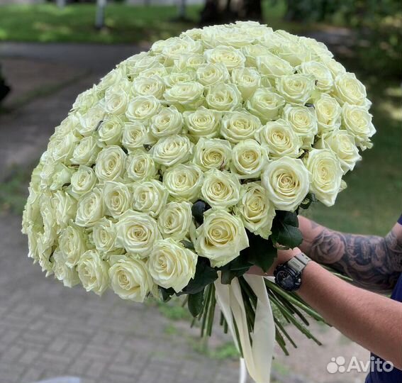 101 роза 51 роза Цветы