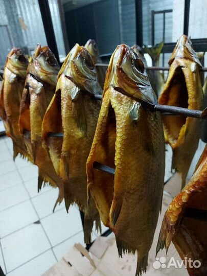 Рыба х/к
